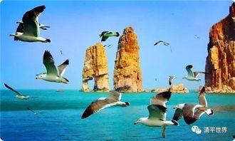 爱情岛国产,探寻异域风情的爱情秘境